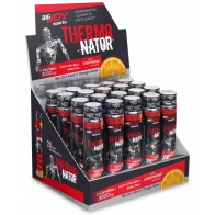 Bigjoy Sports Thermonator Karnitin Portakal 40ml x 20 Shot